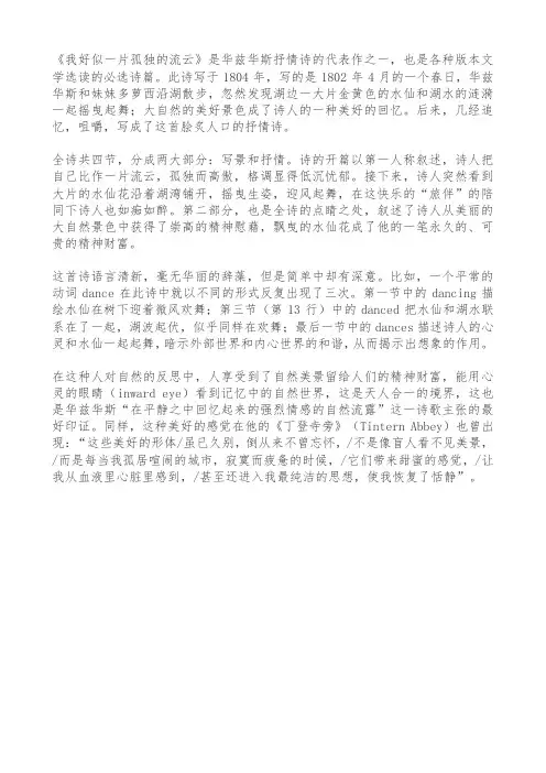 我好似一片孤独的流云作品理解