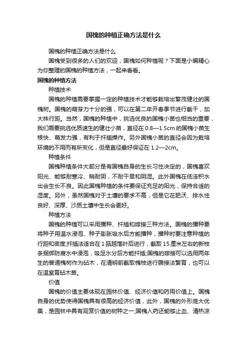 国槐的种植正确方法是什么