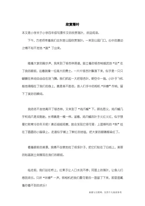 小学四年级写景作文：欣赏落叶