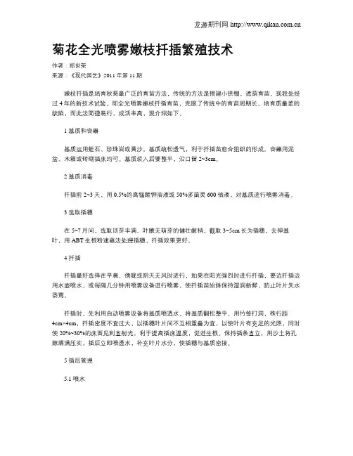 菊花全光喷雾嫩枝扦插繁殖技术