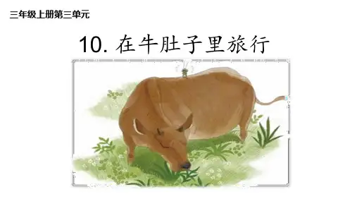 《在牛肚子里旅行》-优质课公开课一等奖课件