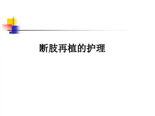 断指再植的护理 ppt课件