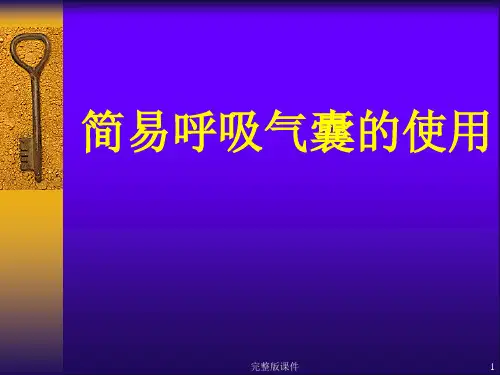 简易呼吸气囊使用ppt课件