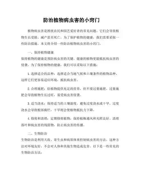 防治植物病虫害的小窍门