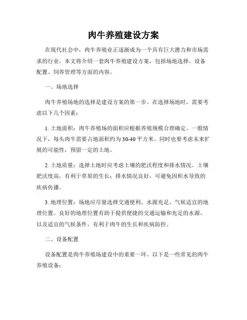 肉牛养殖建设方案
