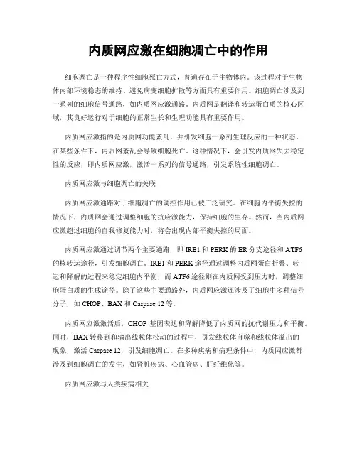 内质网应激在细胞凋亡中的作用