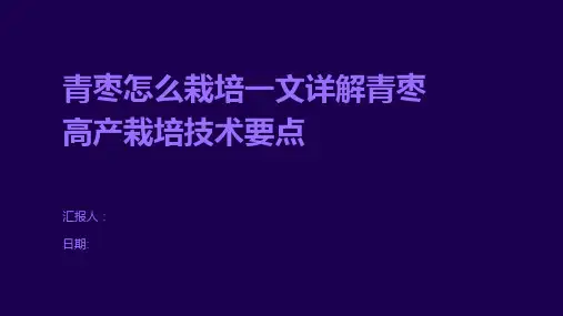 青枣怎么栽培一文详解青枣高产栽培技术要点