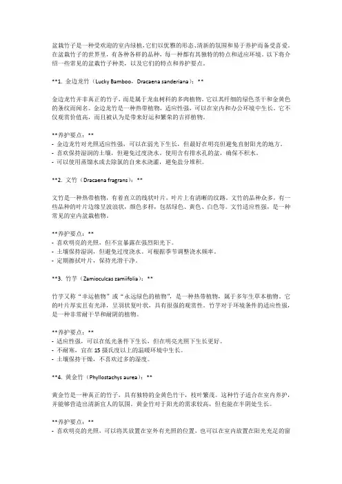 盆栽竹子种类