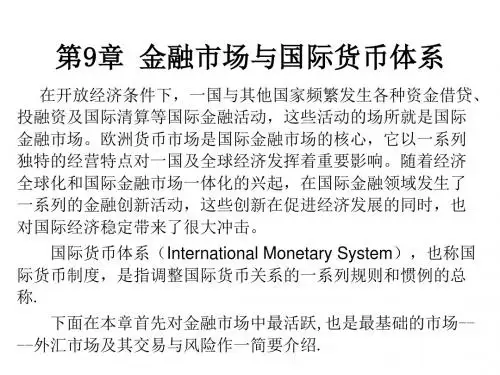 第9章 金融市场与国际货币体系
