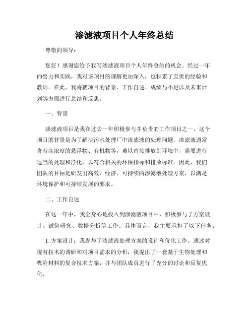 渗滤液项目个人年终总结