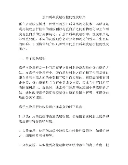 蛋白质凝胶层析柱的洗脱顺序
