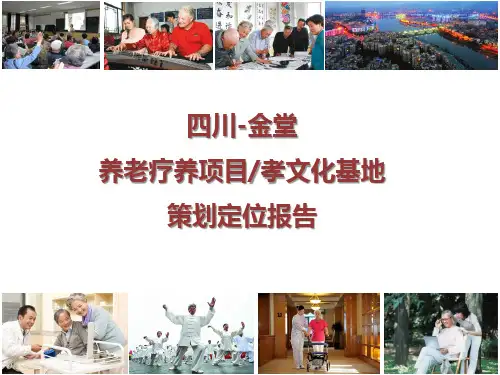 成都养老养生项目策划报告
