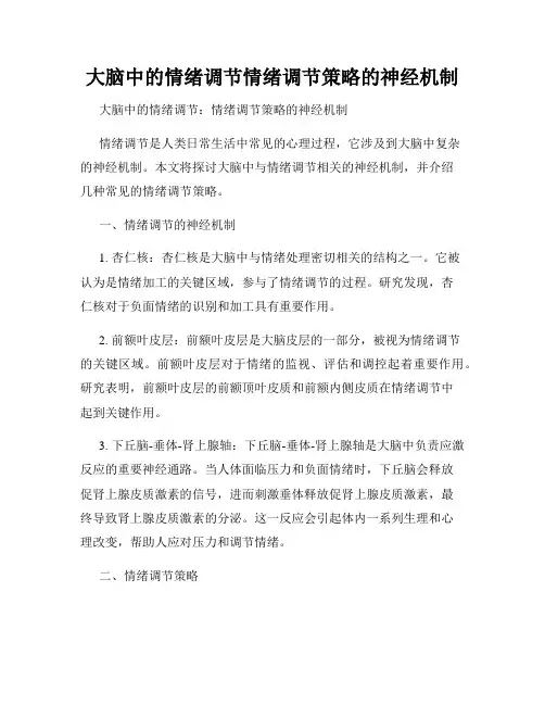 大脑中的情绪调节情绪调节策略的神经机制