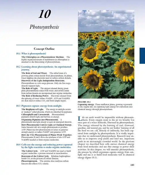Photosynthesis
