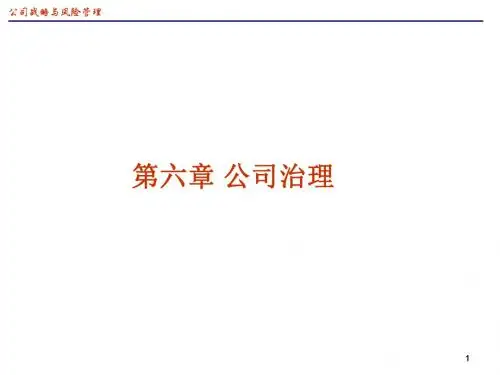 公司治理(第6章)