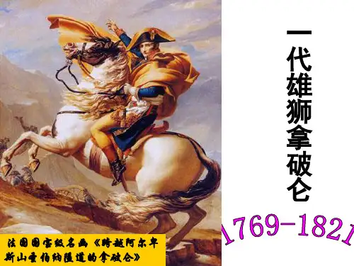 历史人物评说·拿破仑
