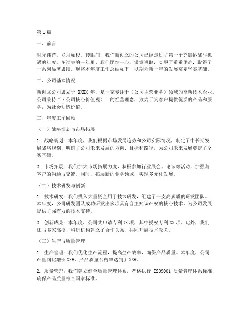 新创立公司年度总结(3篇)