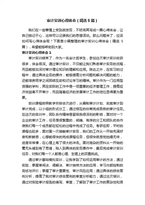 审计实训心得体会（精选5篇）