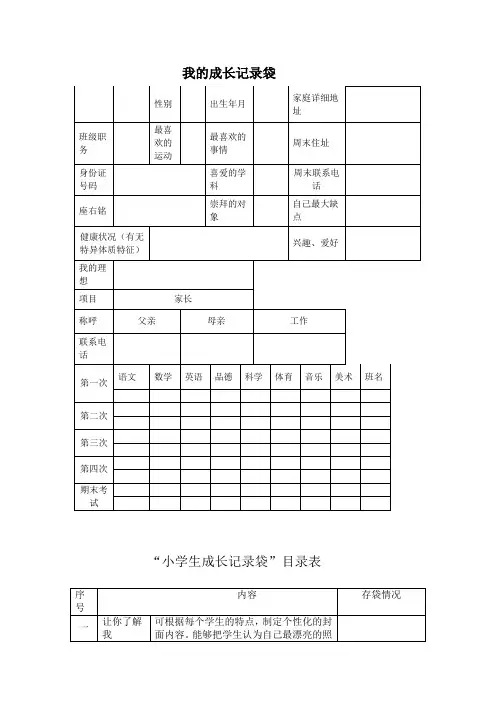 小学生成长记录袋 (5)