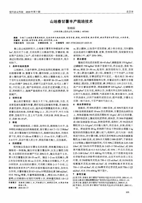 山地春甘薯丰产栽培技术