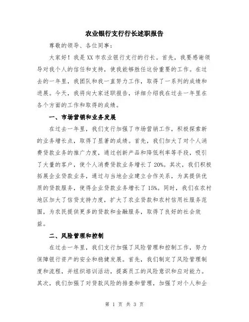 农业银行支行行长述职报告