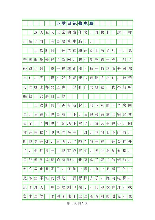 2019年小学日记400字-修电脑
