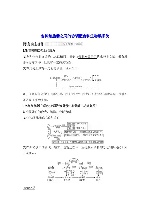 各种细胞器之间的协调配合和生物膜系统