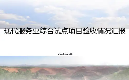 试点项目验收工作汇报PPT课件