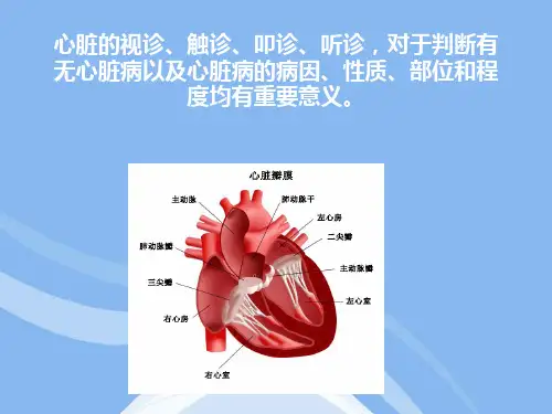 心脏的体格检查