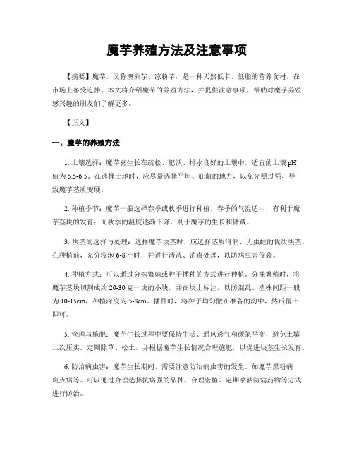 魔芋养殖方法及注意事项