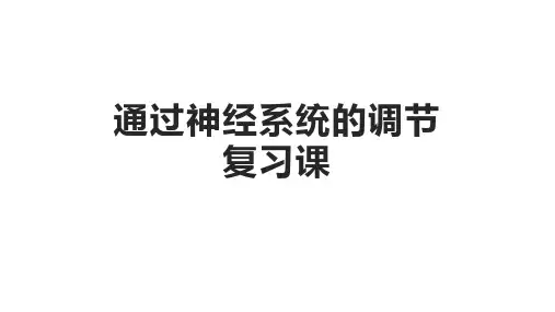 高中生物2.1.2《通过神经系统的调节》复习课优秀课件