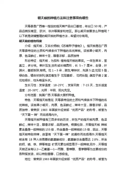 朝天椒的种植方法和注意事项有哪些
