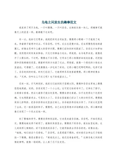 乌龟之间发生的趣事范文