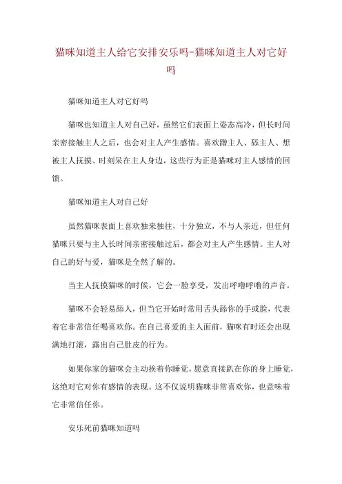 猫咪知道主人给它安排安乐吗-猫咪知道主人对它好吗