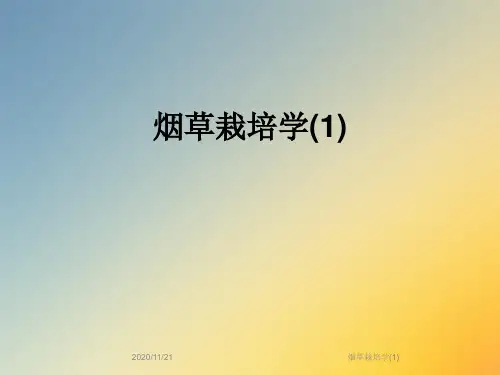 烟草栽培学(1)