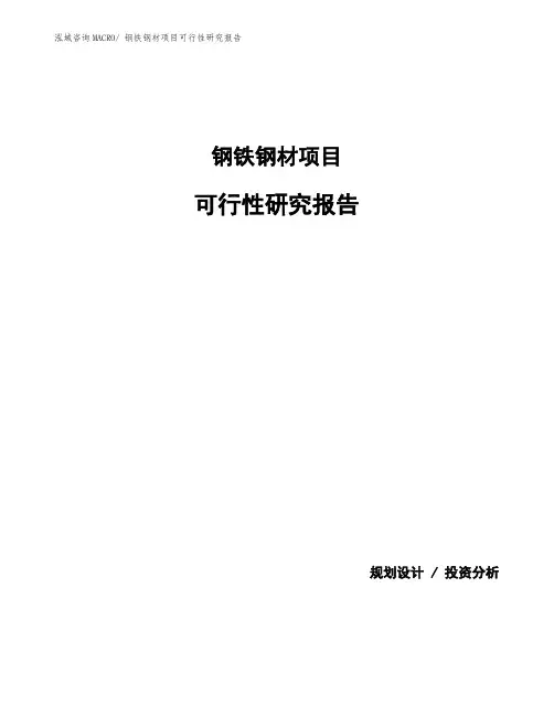 钢铁钢材项目可行性研究报告