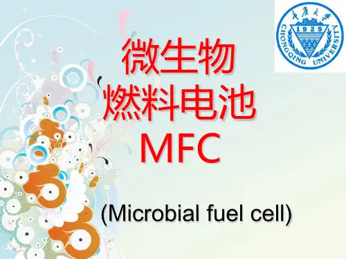 微生物燃料电池MFC资料