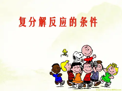 初三化学复分解反应的条件课件