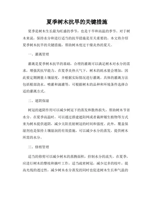 夏季树木抗旱的关键措施