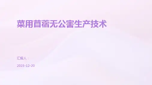 菜用苜蓿无公害生产技术