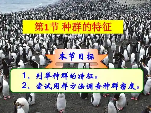 4.1种群的特征