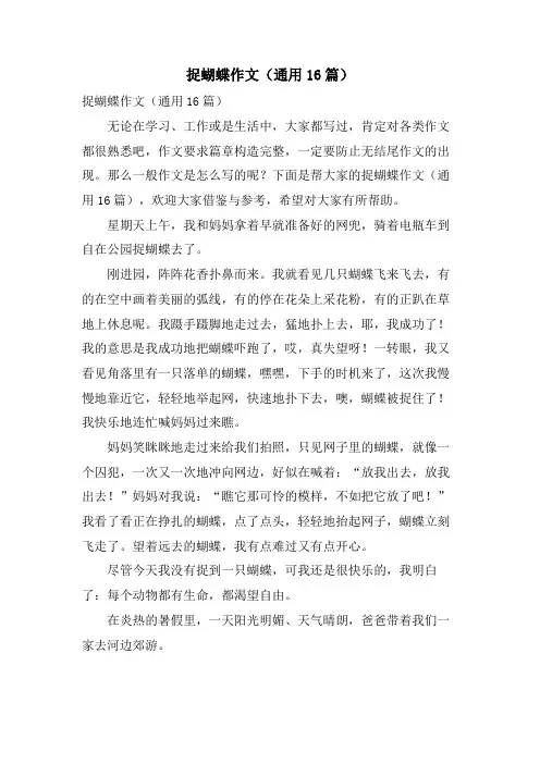 捉蝴蝶作文(通用16篇)