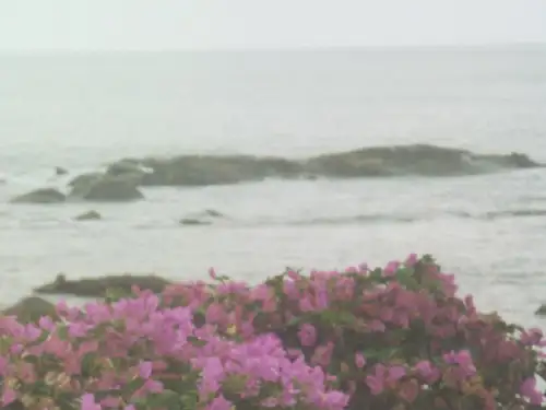 第一章 水质和水污染监测