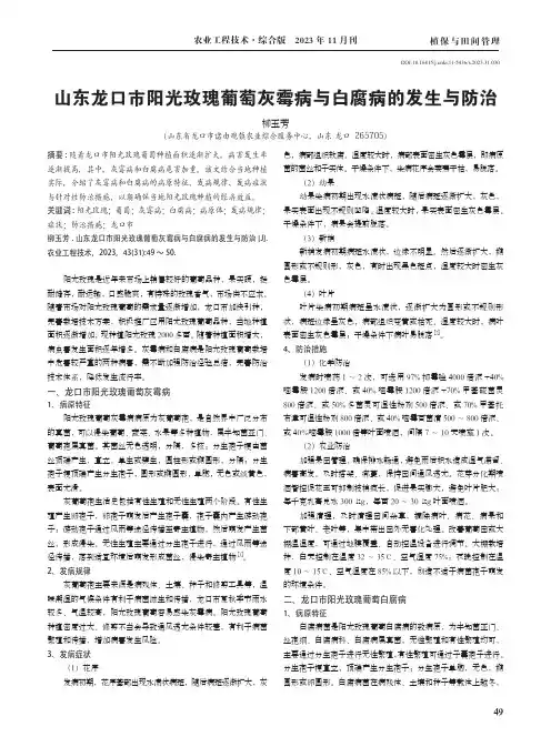 山东龙口市阳光玫瑰葡萄灰霉病与白腐病的发生与防治