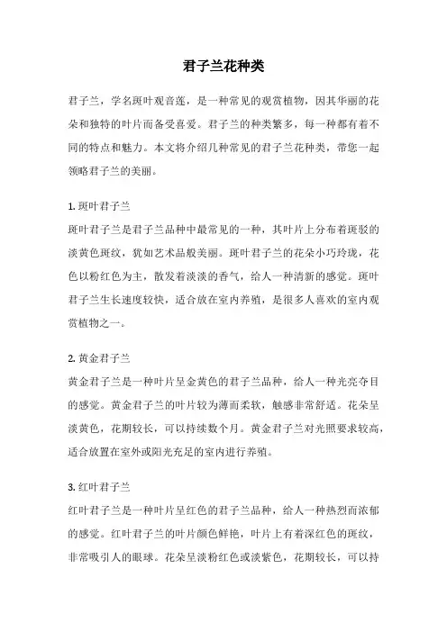 君子兰花种类