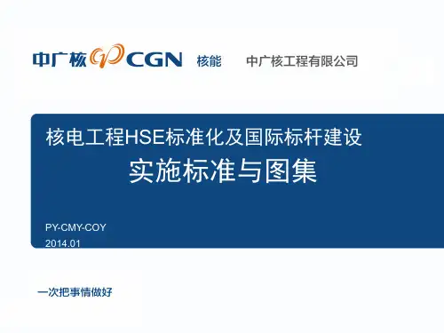 核电HSE标准化及国际标杆实施标准与图集(定稿)