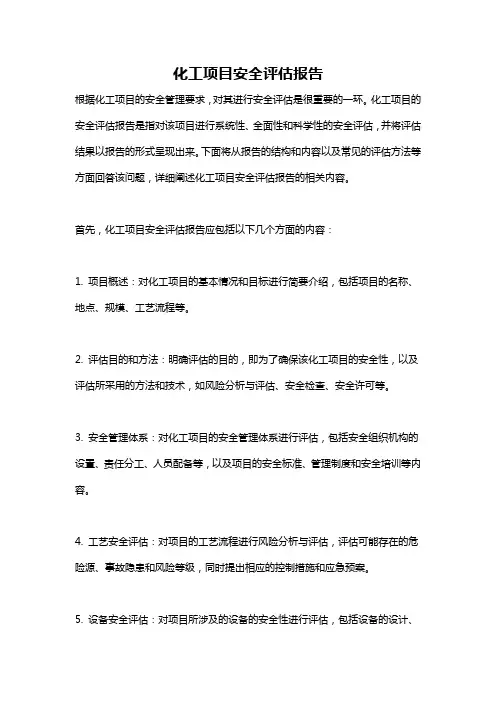 化工项目安全评估报告