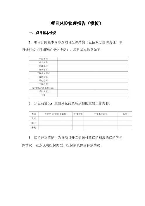 项目风险管理报告(模板)