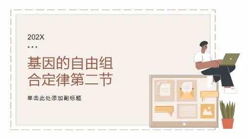 基因的自由组合定律第二节