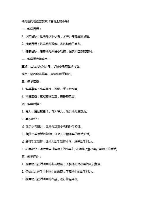 幼儿园托班语言教案《雪地上的小鸟》